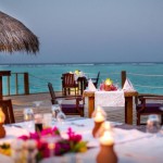 馬爾代夫棕櫚別墅酒店簡介